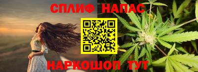 прущие грибы Балаково