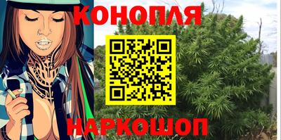прущие грибы Балаково