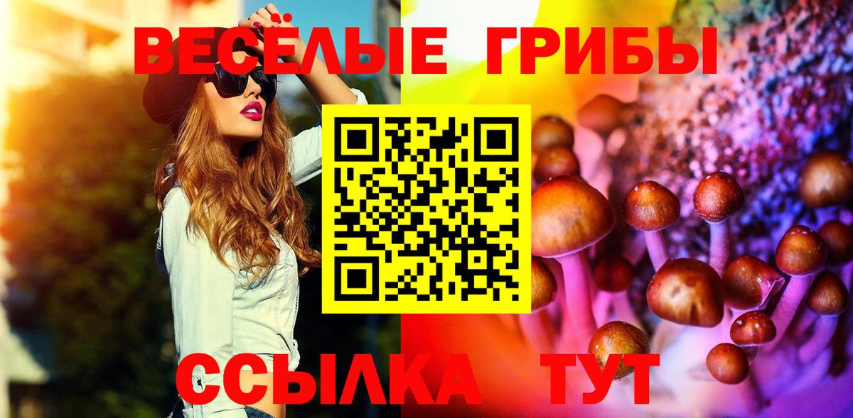 Галлюциногенные грибы Cubensis  наркошоп  Донской  Вход с VPN 