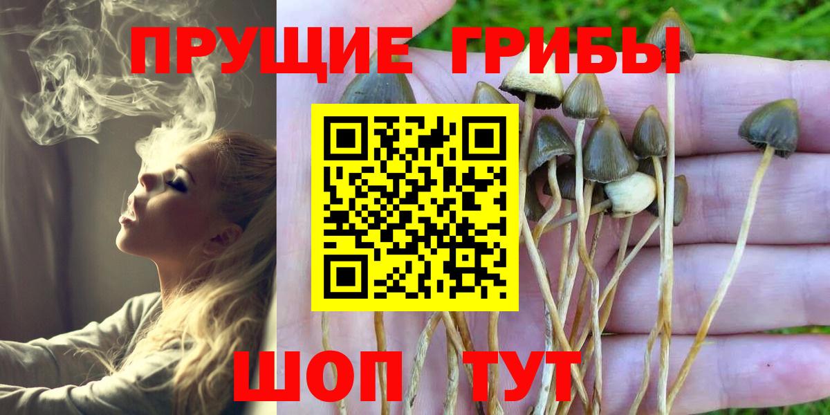 Галлюциногенные грибы мицелий Донской